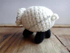 Das Amigurumi-Schaf Kilkenny von hinten