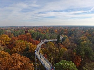 Beelitzer Baumkronenpfad im Herbst 